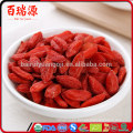 Comprar goji berry goji berry comprar goji berry growing